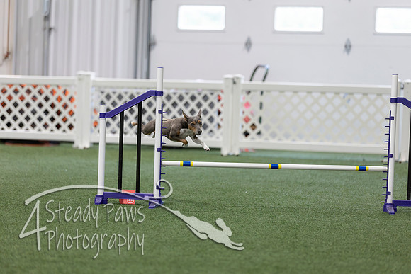 RookieICEAgility202652
