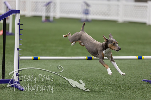 RookieICEAgility202651