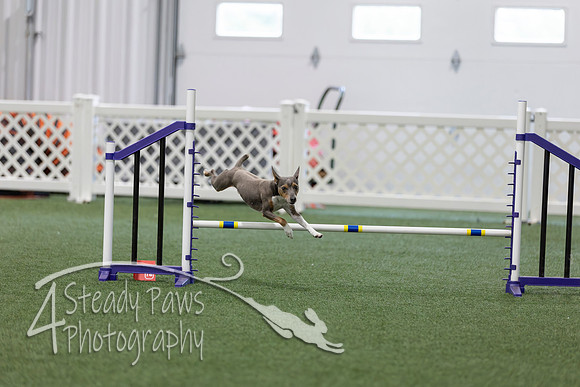 RookieICEAgility202653