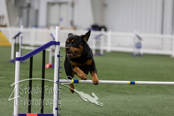 RookieICEAgility202654