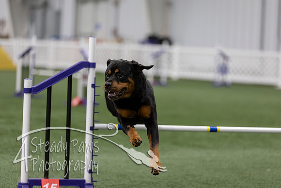 RookieICEAgility202655