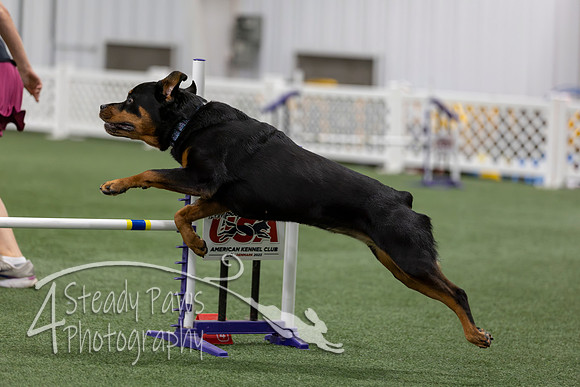 RookieICEAgility202656