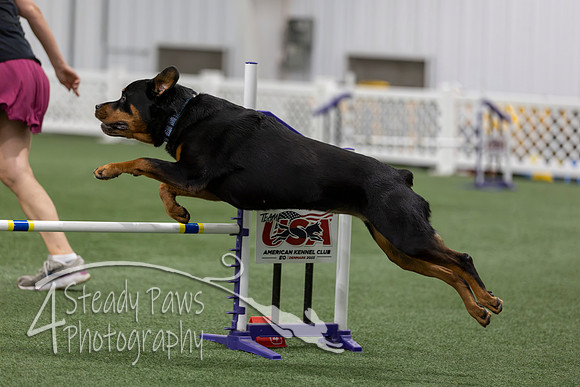 RookieICEAgility202657