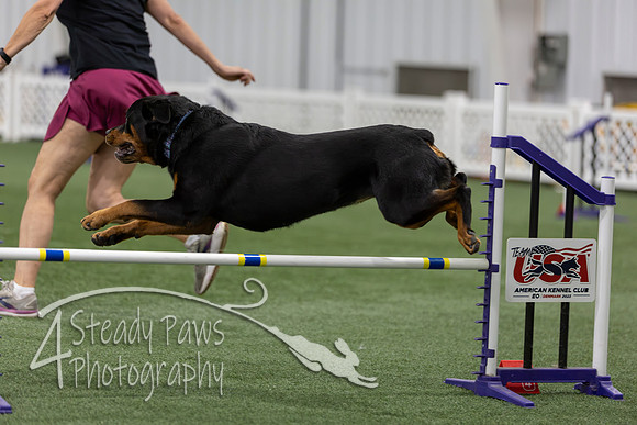 RookieICEAgility202658
