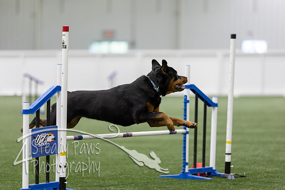 RookieICEAgility202660