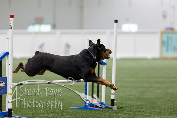 RookieICEAgility202661