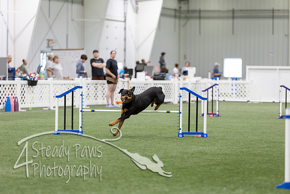 RookieICEAgility202659