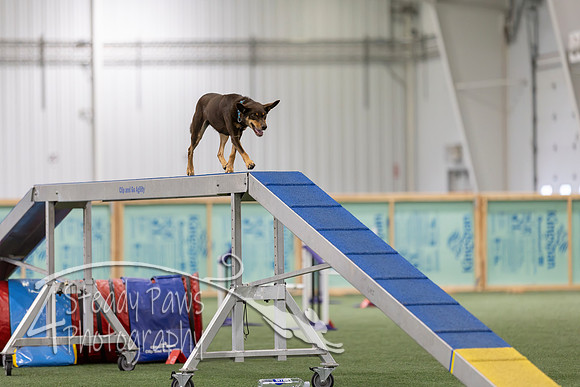 RookieICEAgility202662