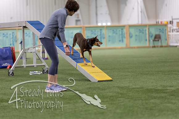 RookieICEAgility202663
