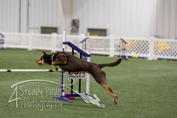 RookieICEAgility202666