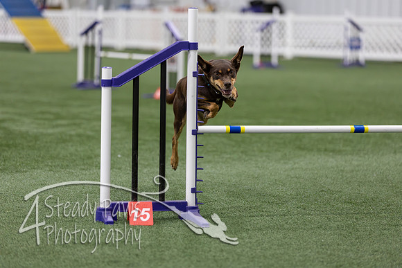 RookieICEAgility202664