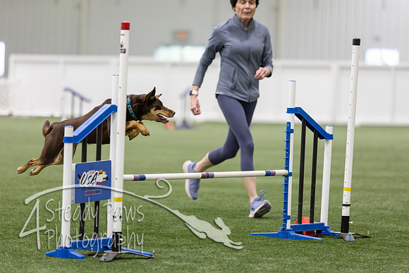 RookieICEAgility202667