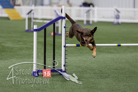 RookieICEAgility202665