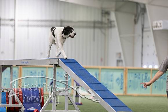RookieICEAgility202668