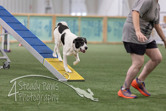 RookieICEAgility202669