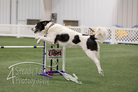RookieICEAgility202672