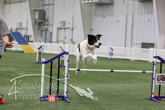 RookieICEAgility202670