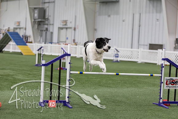 RookieICEAgility202671