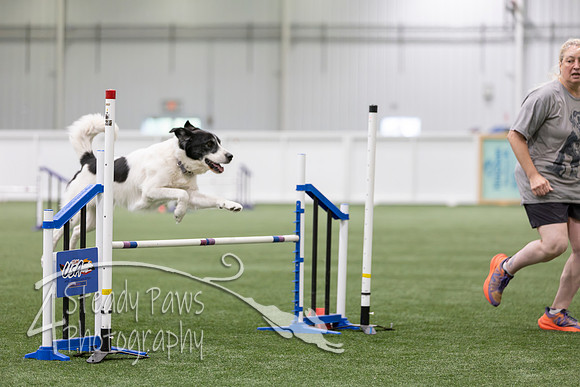 RookieICEAgility202674
