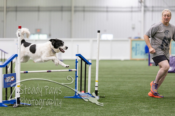 RookieICEAgility202675