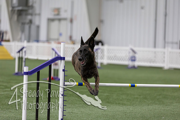 RookieICEAgility202678