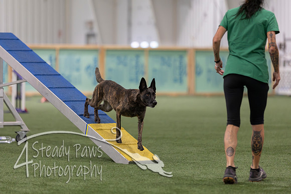 RookieICEAgility202677