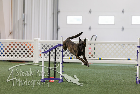 RookieICEAgility202679
