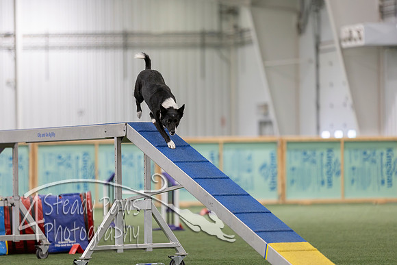 RookieICEAgility202681