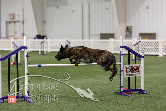 RookieICEAgility202680
