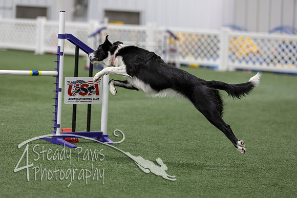 RookieICEAgility202682