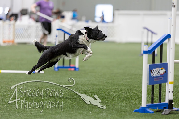 RookieICEAgility202683