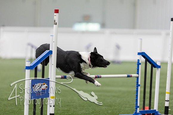 RookieICEAgility202684
