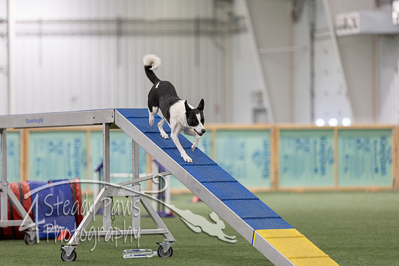 RookieICEAgility202685
