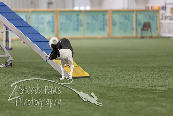 RookieICEAgility202686