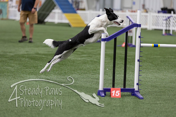 RookieICEAgility202687