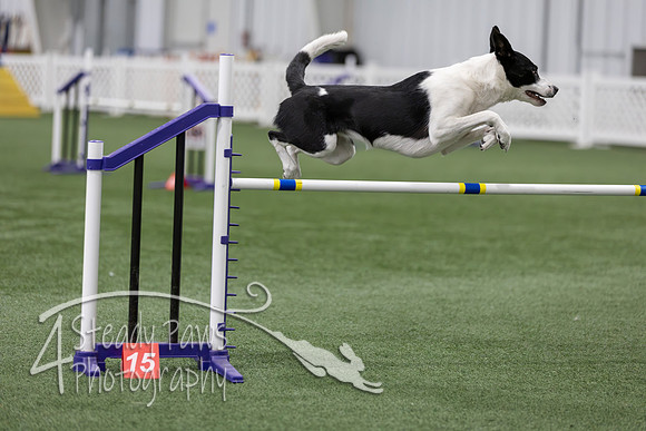RookieICEAgility202688