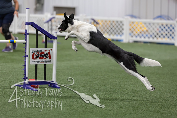 RookieICEAgility202689