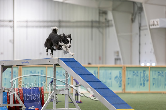 RookieICEAgility202690
