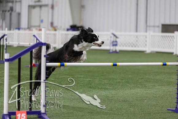 RookieICEAgility202691