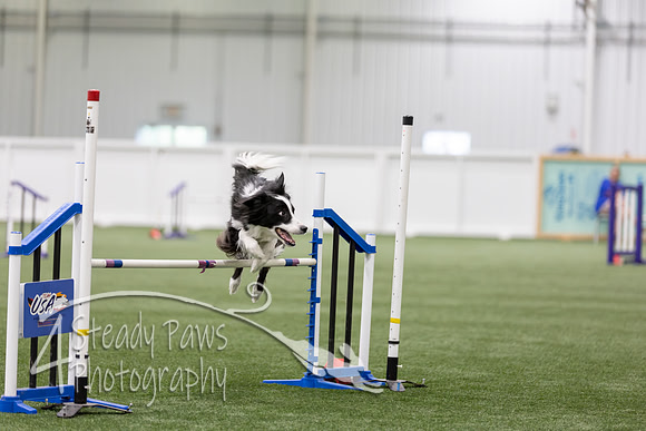 RookieICEAgility202693