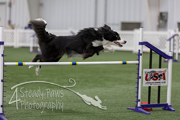 RookieICEAgility202692