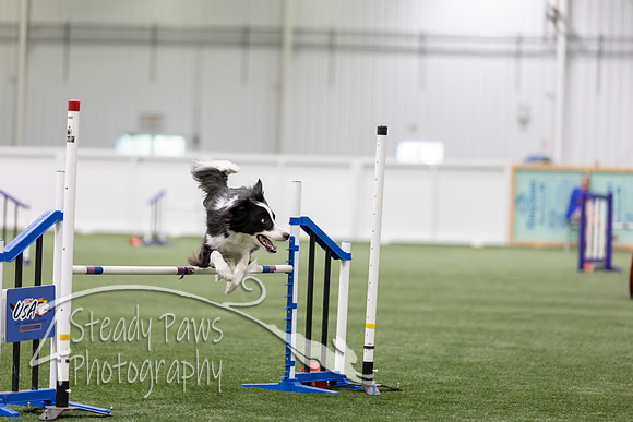 RookieICEAgility202694