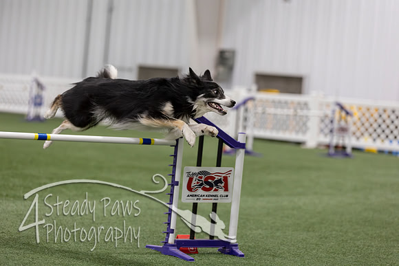 RookieICEAgility202697