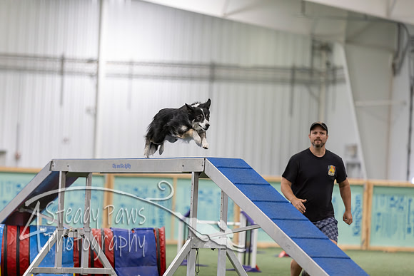 RookieICEAgility202695