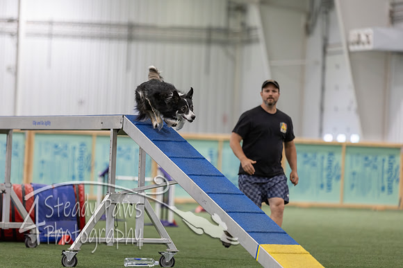 RookieICEAgility202696