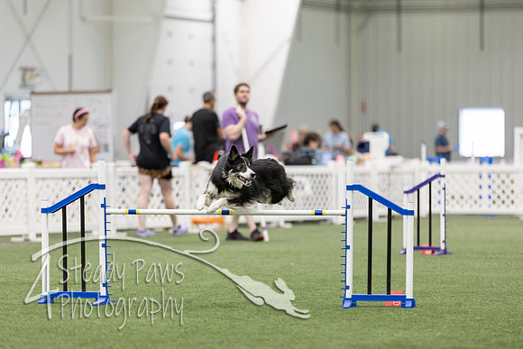 RookieICEAgility202698