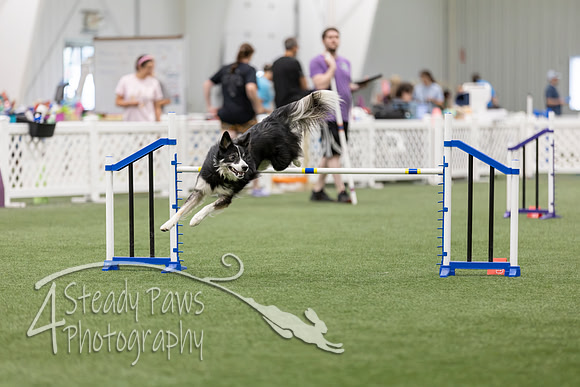 RookieICEAgility202699