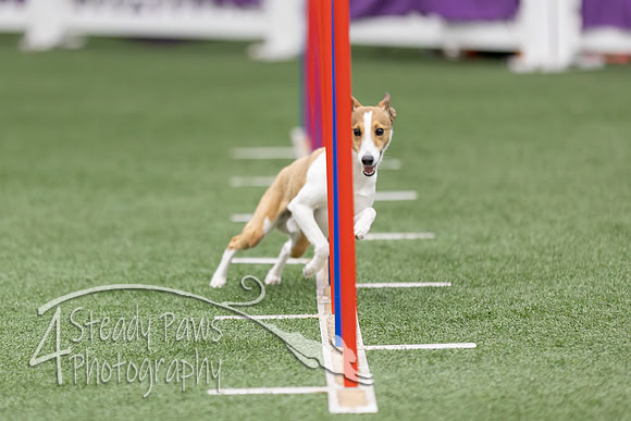 RookieICEAgility2026159