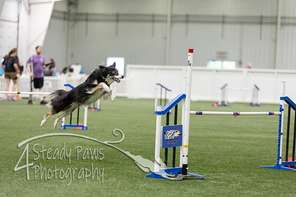 RookieICEAgility2026100