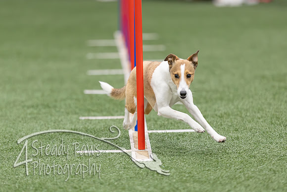 RookieICEAgility2026160